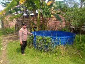 Kanit Binmas Polsek Prambon Tinjau Lahan Pangan Bergizi di Desa Jatikalang
