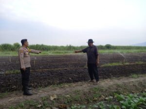 Teknik Grimbel Jadi Acuan Petani dan Polsek Krembung, Dukung Ketahanan Pangan 