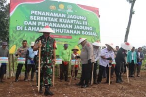 Kolaborasi Untuk Swasembada : Polres Pasuruan Tanam Jagung Serentak di Lahan Perhutanan Sosial  