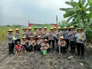 Polsek Buduran Tanam Jagung Serentak Kuartal III di Desa Sukorejo