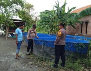 Kanit Binmas Polsek Krembung Dukung Ketahanan Pangan Persembahkan Peternak Ikan Lele 