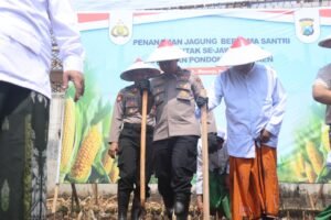 Dukung Swasembada Pangan, Polres Pasuruan Tanam Jagung Serentak Bersama Santri Ponpes Sabilunnajah