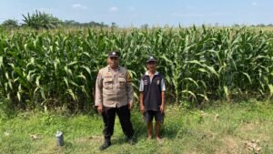Bhabinkamtibmas Desa Bakung Temenggungan Masifkan Program Ketahanan Pangan Polresta Sidoarjo