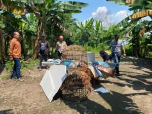 Dapatkan Laporan Masyarakat, Polsek Sedati Datangi Tempat Perjudian Sabung Ayam