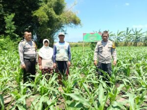 Polsek Balongbendo Dukung Program Ketahanan Pangan Lewat Pekarangan Bergizi