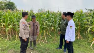 Bhabinkamtibmas Balongbendo Dampingi Petani Sukseskan Ketahanan Pangan