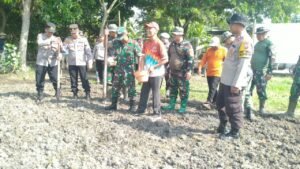 Kapolsek Krembung Pimpin Penanaman Jagung Bersama Forkopimka di Desa Lemujut