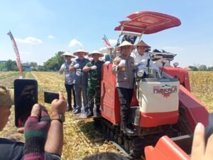 Polresta Sidoarjo Gelar Panen Jagung Serentak Kuartal III di Desa Bakungtemenggungan Balungbendo