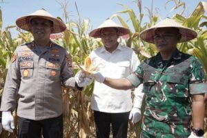 Sinergi Bupati dan Kapolresta Sidoarjo Sukseskan Panen Raya Jagung Program Polri Kuartal III 2025