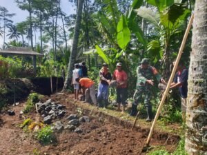 Babinsa Tegalasri Gotong Royong Bangun Tanggul Dan Drainase Bersama Warga