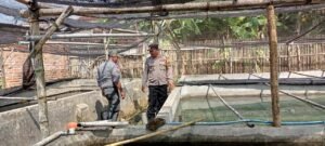 Polsek Tarik Lakukan Patroli Ketahanan Pangan di Desa Mergosari