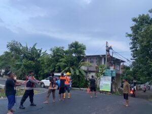 Turun Bareng Evakuasi Pohon Tumbang di Tulangan Sidoarjo