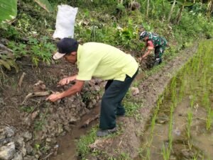 Jaga Kelancaran Pasokan Air, Babinsa Plandirejo Dan Warga Turun Tangan Bersihkan Irigasi