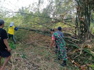 Babinsa Kelurahan Bence Ajak Warga Bersihkan Ranting Bambu Yang Menutupi Akses Jalan Persawahan
