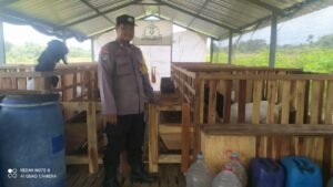 Aipda Agus, Polisi Desa yang Sukses Jadi Peternak Domba