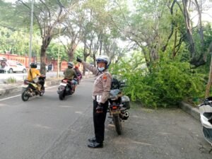 Sinergi Anggota Polsek Buduran dan DLHK Sidoarjo Sigap Tangani Pohon Tumbang di Depan Museum Mpu Tantular