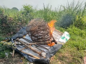 Polisi Bakar Arena Sabung Ayam di Jatikalang Kecamatan Prambon
