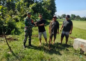 Jaga Kelestarian Lingkungan, Babinsa Gogodeso Bersama Warga Tanam Pohon Keras