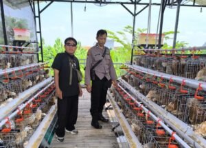 Bhabinkamtibmas Sidodadi Sambangi Peternakan Ayam Petelur, Tingkatkan Ketahanan Pangan 
