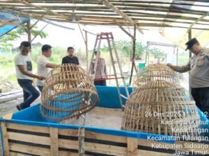 Kapolsek Tulangan Pimpin Operasi Pembubaran Arena Judi Sabung Ayam