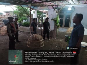 Polsek Tulangan Bergerak Cepat, Arena Sabung Ayam Ilegal Dibongkar Hingga Bersih
