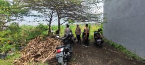 Persiapan Masa Panen, Polsek Tanggulangin Cek Lahan Jagung Desa Kedensari
