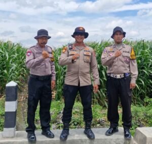 Sinergitas Dukung Ketahanan Pangan Melalui Tanam Jagung di Desa Seduri
