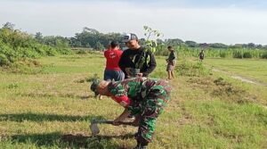 Peduli Lingkungan Sertu M. Ayub Bersama Warga Tlumpu Laksanakan Penghijauan Tanam Pohon Akasia