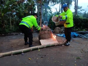 Polres Malang Bongkar Arena Sabung Ayam di Sumberpucung, Berawal dari Laporan 110