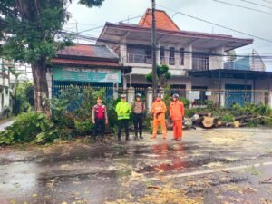 Gerak Cepat Polisi Bersama BPBD dan Warga Evakuasi Pohon Tumbang Di Wilayah Kota Kediri Sore Ini