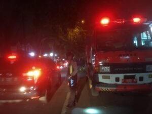 Respon Cepat Layanan Hotline 110, Polsek Waru Evakuasi Pohon Tumbang di Kedungrejo