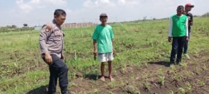 Masifkan Gerakan Ketahanan Pangan, Polisi di Kecamatan Tarik Dampingi Petani