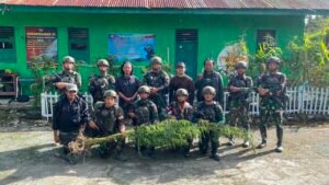 Melalui Patroli Keamanan Gabungan, Satgas Swasembada Yonif 643/Wns Koops TNI Habema Berhasil Temukan Ladang Ganja