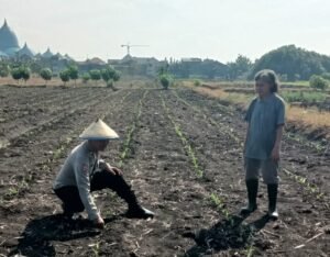 Polsek Taman Pantau Perkembangan Tanaman Jagung