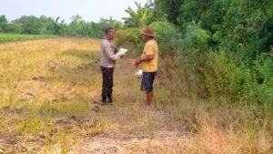 Polisi bersama Petani di Wonoayu Tanam Jagung, Dukung Ketahanan Pangan