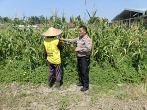 Petani Desa Lebo Apresiasi Dukungan Polisi Terhadap Upaya Ketahanan Pangan 