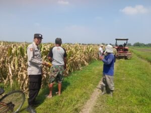 Kapolsek Prambon Masifkan Bhabinkamtibmas Sambang Petani, Guna Dongkrak Swasembada Pangan
