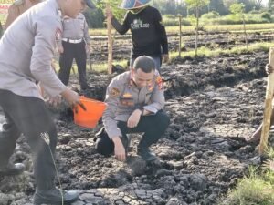 Kapolsek Wonoayu bersama Gapoktan Tanam Jagung Kuartal II, Dukung Swasembada Pangan Nasional