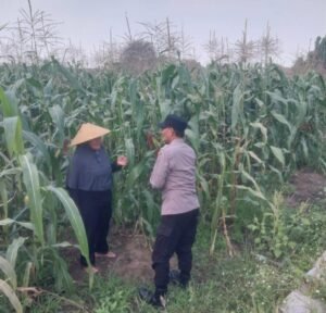 Dampingi Petani, Polsek Sidoarjo Kota Dukung Swasembada Pangan