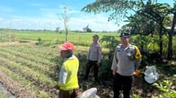 Dukung Ketahanan Pangan, Bhabinkamtibmas Polsek Tarokan Lakukan Pengecekan dan Edukasi di Dusun Becek