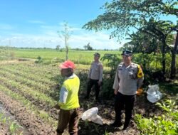 Dukung Ketahanan Pangan, Bhabinkamtibmas Polsek Tarokan Lakukan Pengecekan dan Edukasi di Dusun Becek