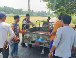 Kompak Wujudkan Swasembada Pangan, Polisi dan Petani di Balongbendo Kelola Tanaman Jagung