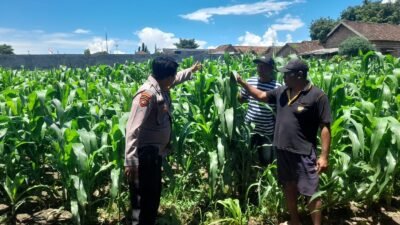 Polisi Sidoarjo Jalankan Ketahanan Pangan di Prambon