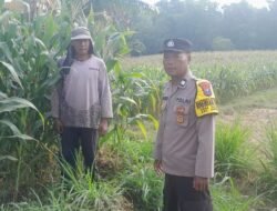 Sambut Hari Bhayangkara ke-80, Bhabinkamtibmas Polsek Tarokan Cek Lahan Jagung dan Edukasi Petani di Desa Tarokan untuk Dukung Ketahanan Pangan