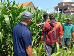 Polsek Balongbendo Perkuat Swasembada Pangan Nasional Bersama Petani