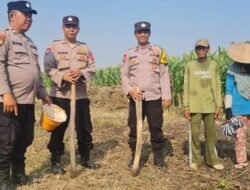 Polsek Candi Serahkan Bibit Jagung Hibrida Perkasa kepada Petani, Perkuat Ketahanan Pangan di Sidoarjo