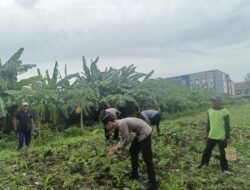 Polsek Waru Cek Perkembangan Tanaman Jagung di Desa Bungurasih
