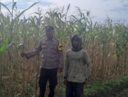 Lewat Aksi Nyata Bhabinkamtibmas Polres Kediri Kota, Desa Tarokan Bersiap Jadi Pelopor Mandiri Pangan