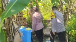 Polsek Gedangan Gandeng Petani Optimalkan Ketahanan Pangan Tanaman Jagung