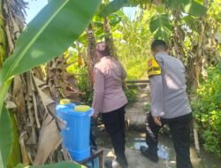 Polsek Gedangan Gandeng Petani Optimalkan Ketahanan Pangan Tanaman Jagung